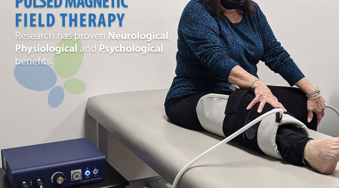 Biophysical PEMF Magnet Therapy Treatment
