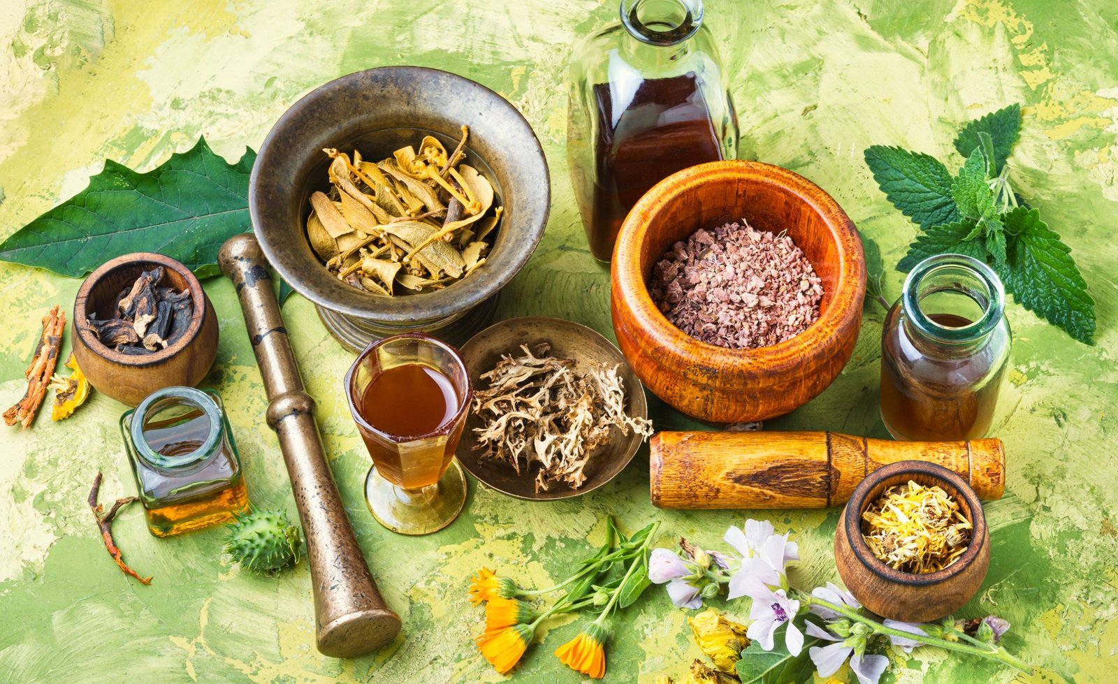 Holistic Naturopathy and Drugless Nature Cure Treatments